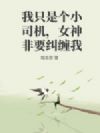 我只是小司机,女神非要纠缠