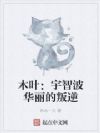 木叶:宇智波华丽的叛逆